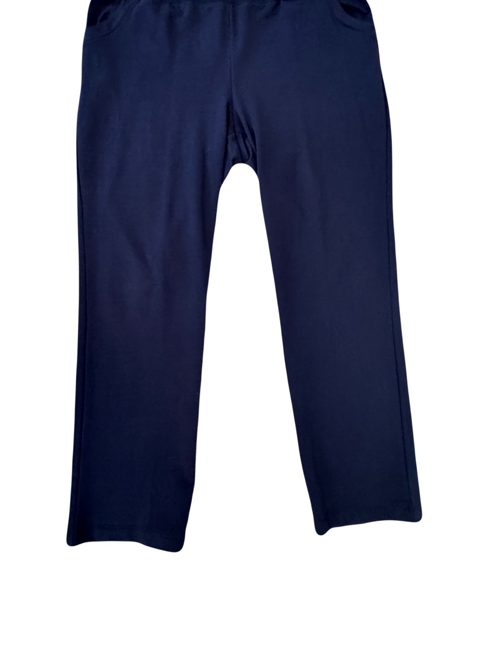 Zenergy by Chico’s Blue Classic Straight-Leg Knit Pants XL